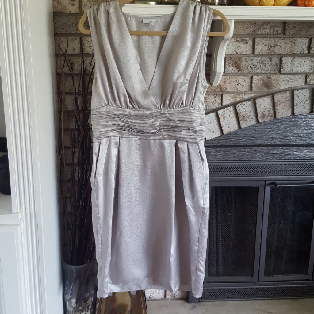 Adam Lippes Silver Ruched Silk Dress